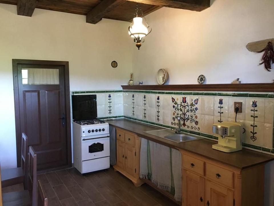 Miklós Lak Ocna de Sus Exterior foto