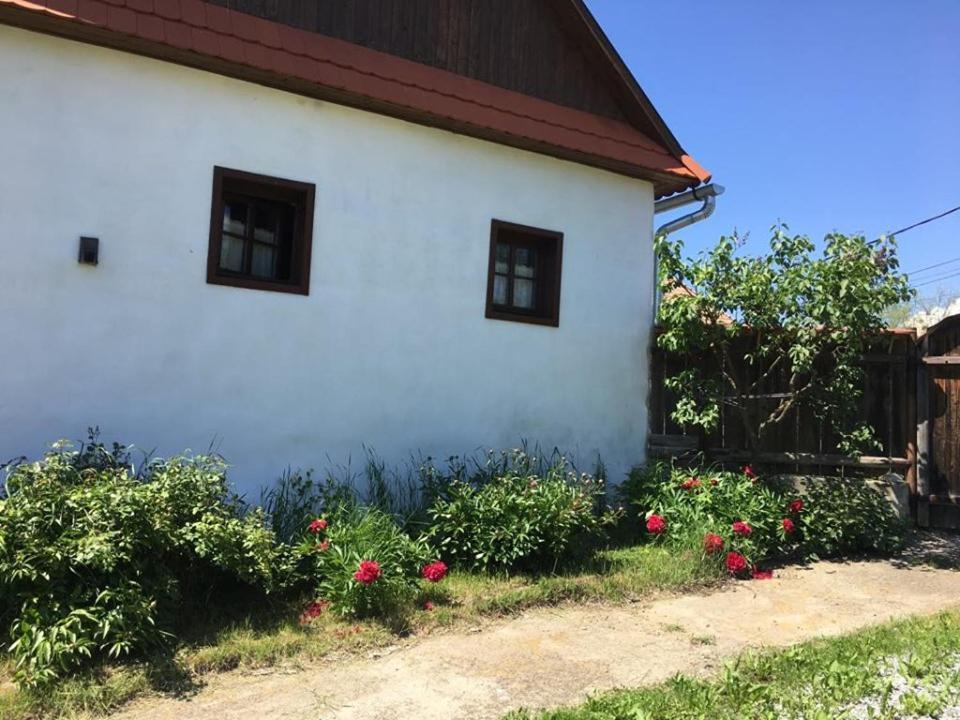 Miklós Lak Ocna de Sus Exterior foto